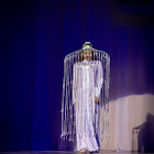 IMG_7640.jpg