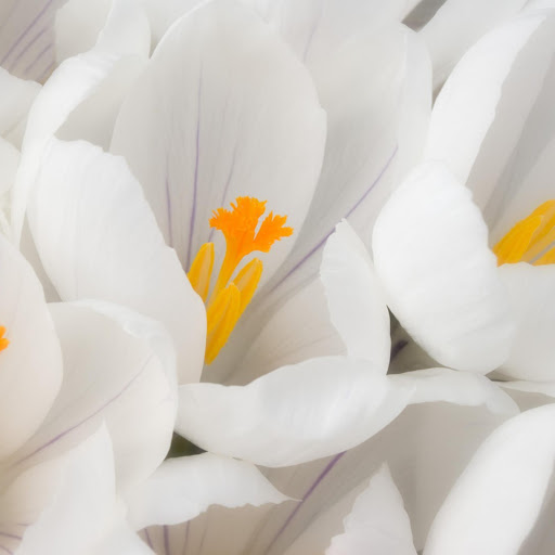 Hd-146559-ascw146559