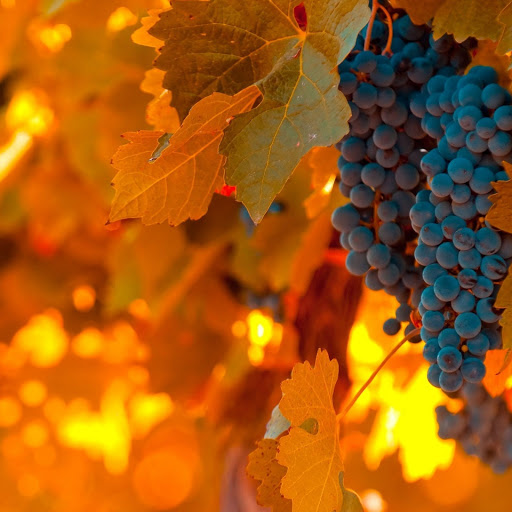 Hd-147245-ascw147245