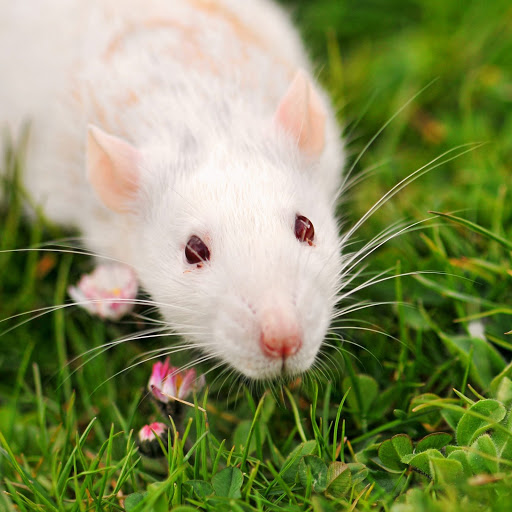 Hd-157346-ascw157346