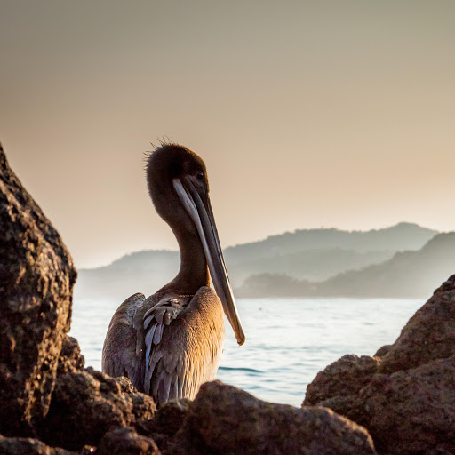 Hd-159496-ascw159496