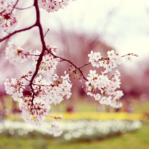 Hd-146593-ascw146593