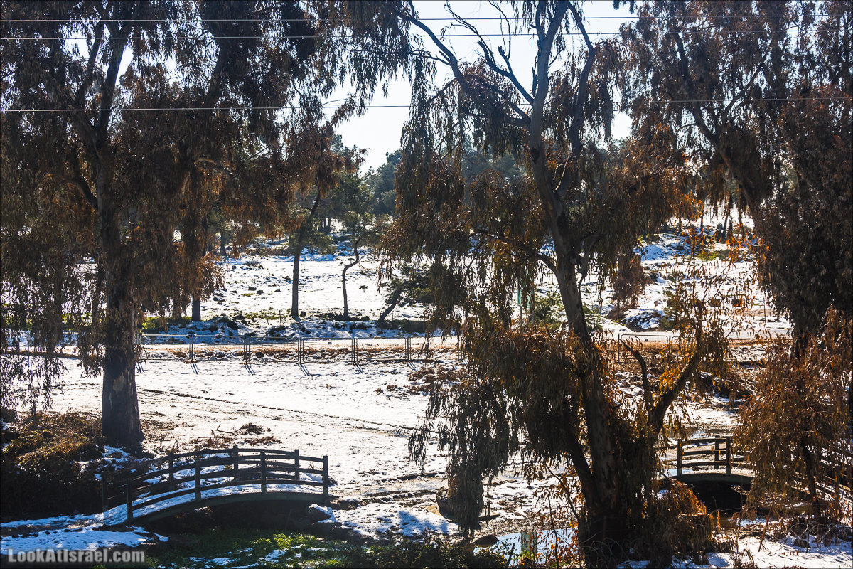 LookAtIsrael.com | Снег в Израиле, Голанские высоты и Галилея | Snow in Israel, Golan Heights and Galilee | שלג בישראל, רמת הגולן וגליל