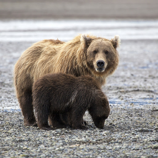 Hd-174897-ascw174897