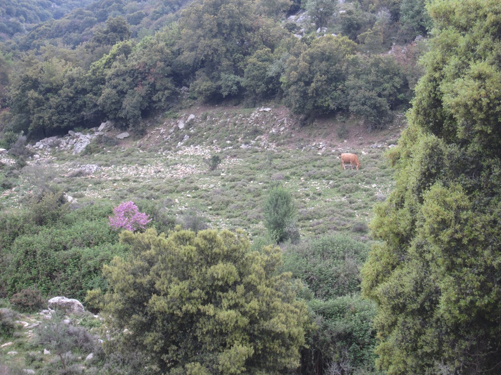 [IMG_4358%255B3%255D.jpg]