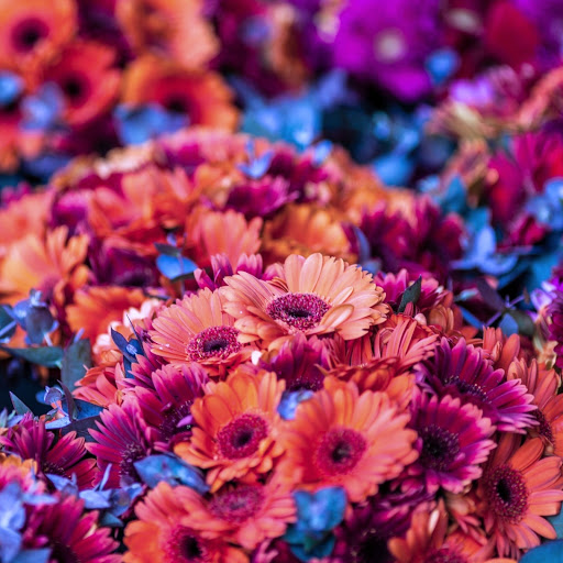 Hd-164415-ascw164415