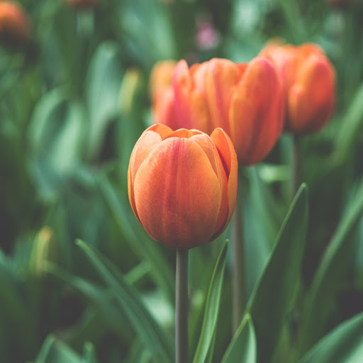 Hd-168091-ascw168091