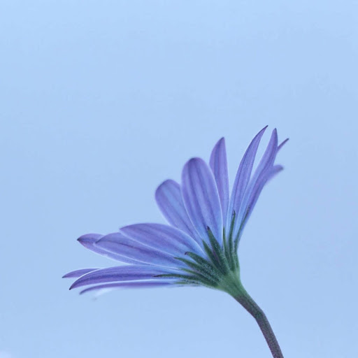 Hd-148010-ascw148010