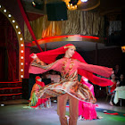 IMG_5409.jpg