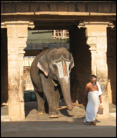 Shivite Temple Elephant