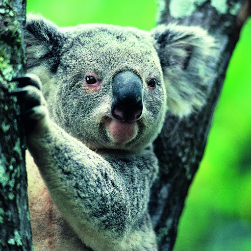 Hd-170418-ascw170418