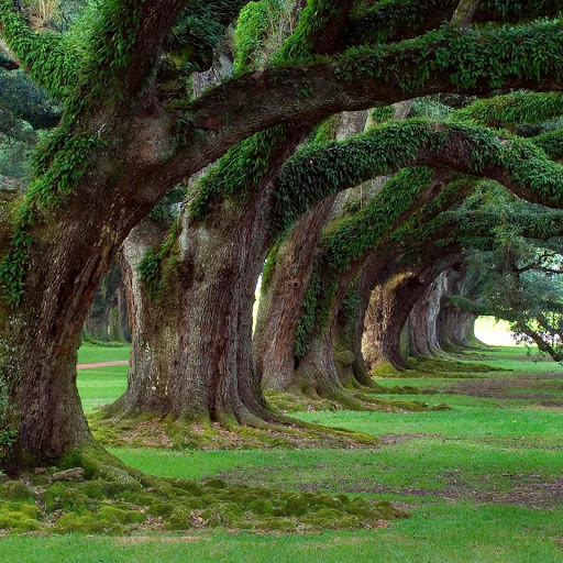 Hd-134387-ascw134387