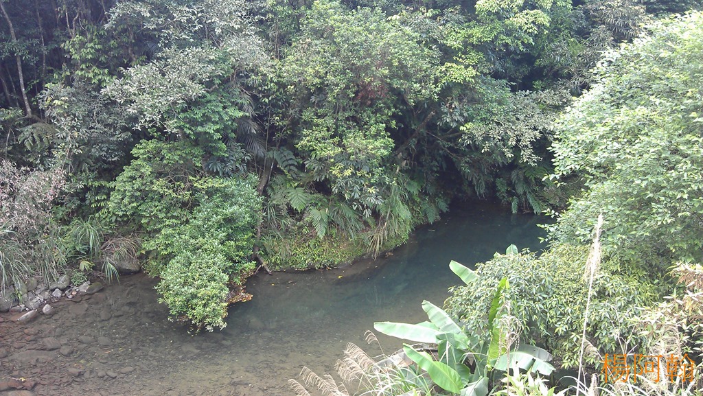 [0423-042---4.jpg]