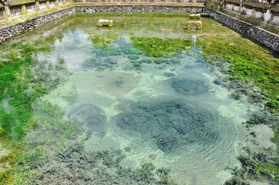 DSC_0147.jpg