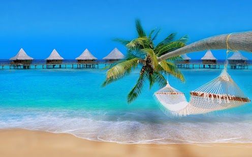 Free Work From Home Online APK for Android