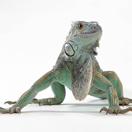 Hd-181685-ascw181685