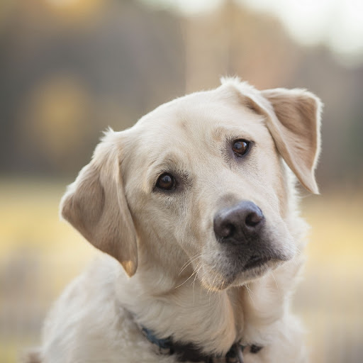 Hd-180692-ascw180692