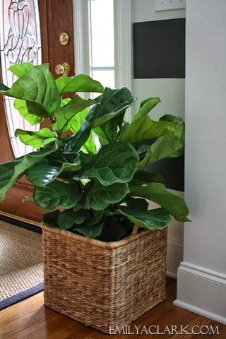 [Decorating-with-plants%255B9%255D.jpg]