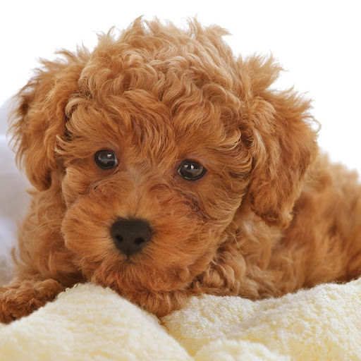 Hd-147176-ascw147176