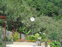 DSC02464.jpg