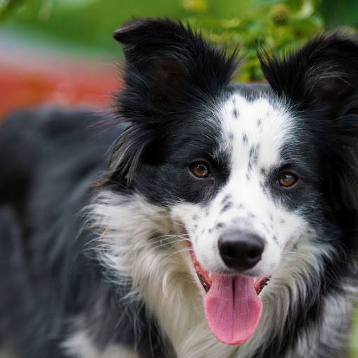 Hd-146860-ascw146860