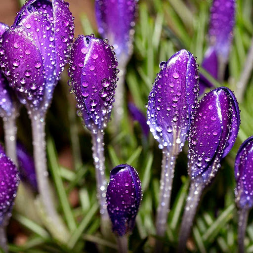 Hd-132390-ascw132390