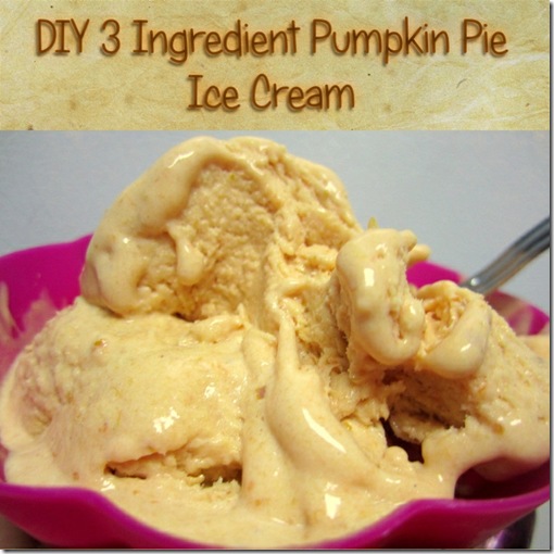 3 Ingredient Pumpkin Pie Ice Cream (Krafty Kat)