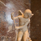 IMG_3788.jpg