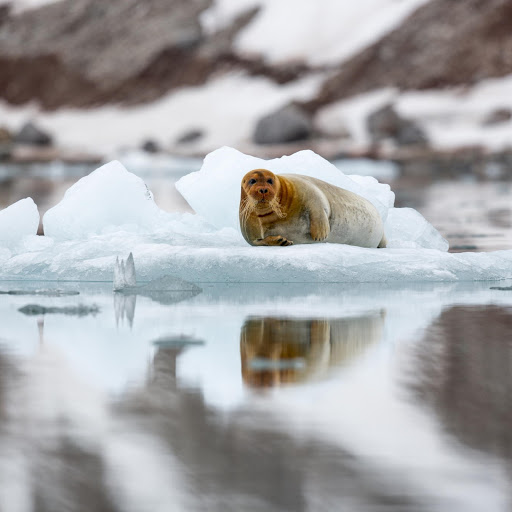 Hd-152338-ascw152338