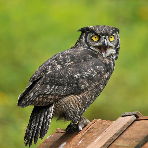 Hd-178190-ascw178190