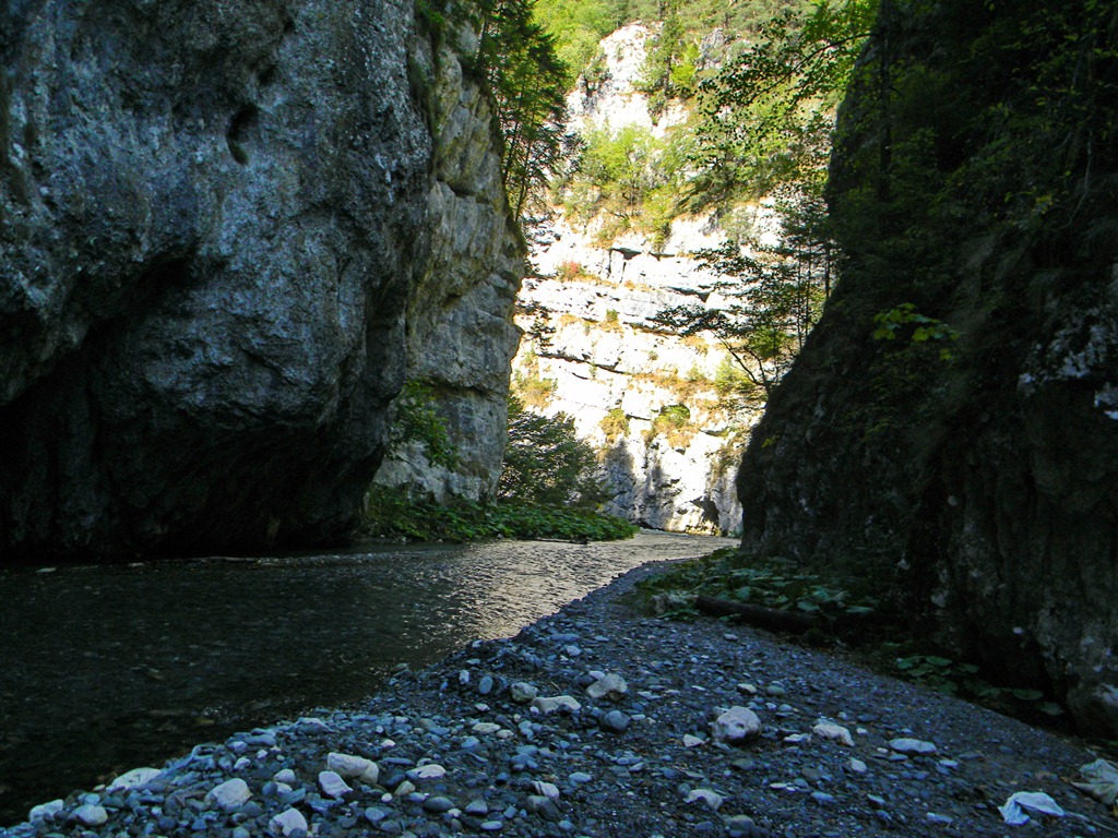 [DSCN49993.jpg]