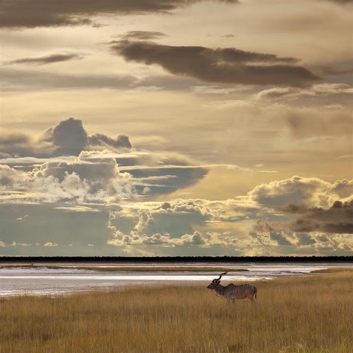 Hd-145087-ascw145087