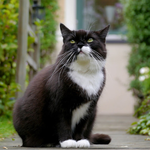 Hd-162157-ascw162157