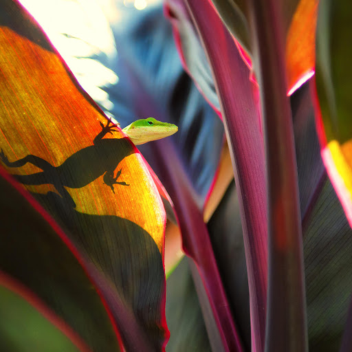 Hd-164592-ascw164592