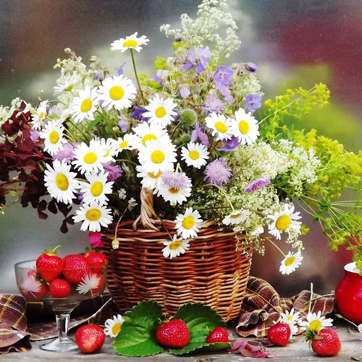 Hd-146320-ascw146320