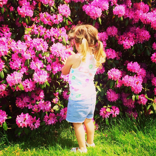 Hd-132551-ascw132551