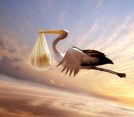 [28267237.448218%255B6%255D.jpg]