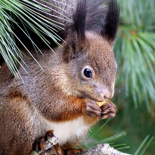 Hd-181054-ascw181054