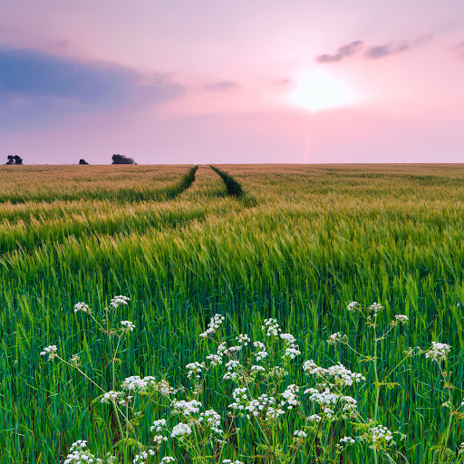 Hd-133928-ascw133928