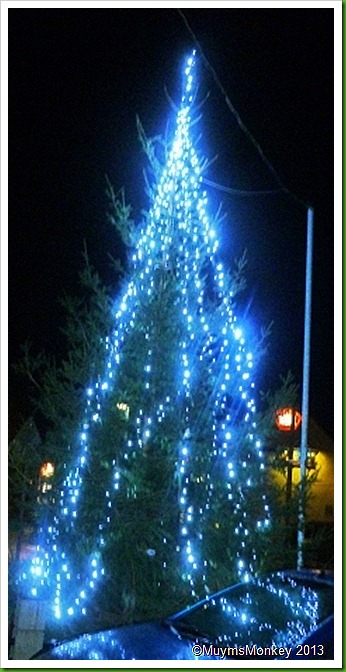 Bilbrook Christmas Tree 2012