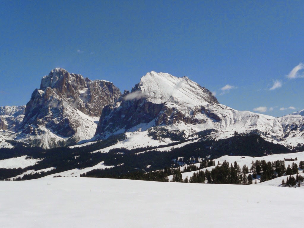 [P10904614.jpg]