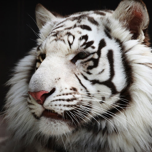 Hd-166047-ascw166047