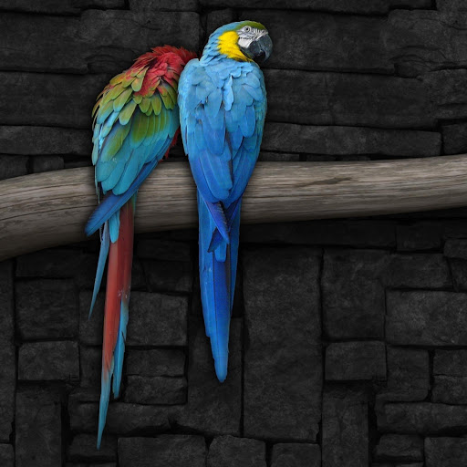 Hd-178726-ascw178726