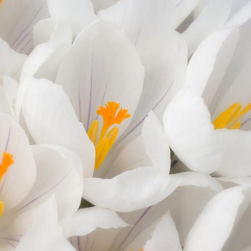 Hd-151466-ascw151466