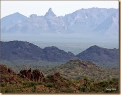 Ajo Mountains in background
