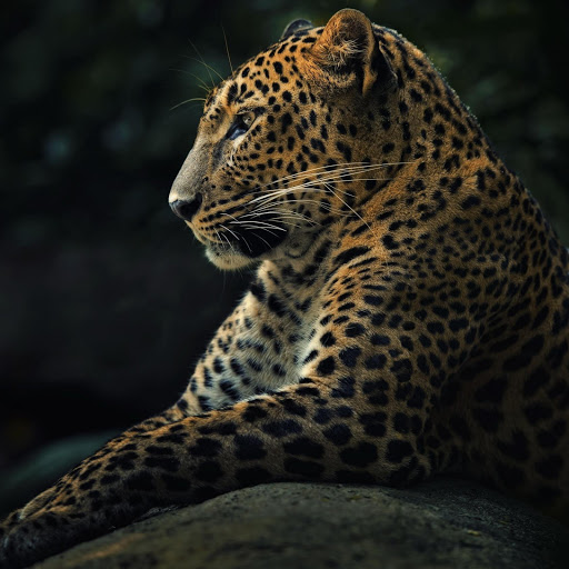 Hd-160977-ascw160977