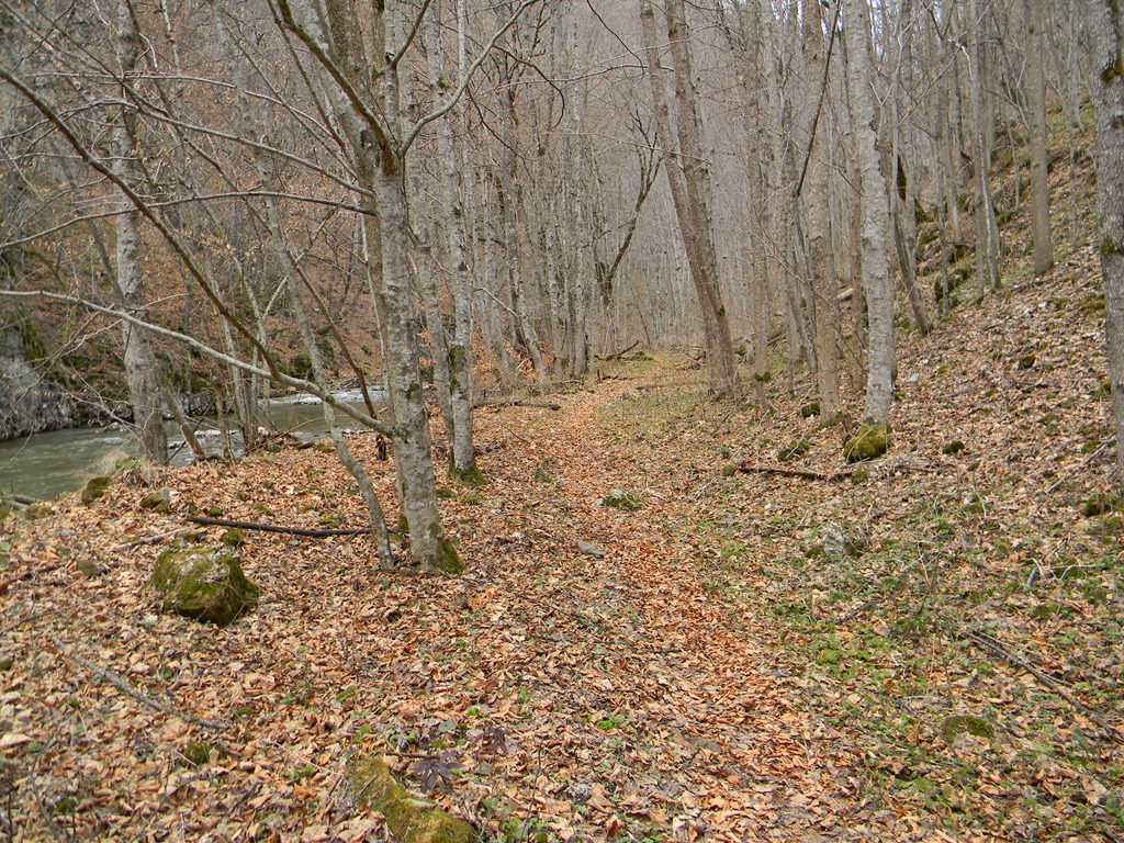 [DSCN85913.jpg]