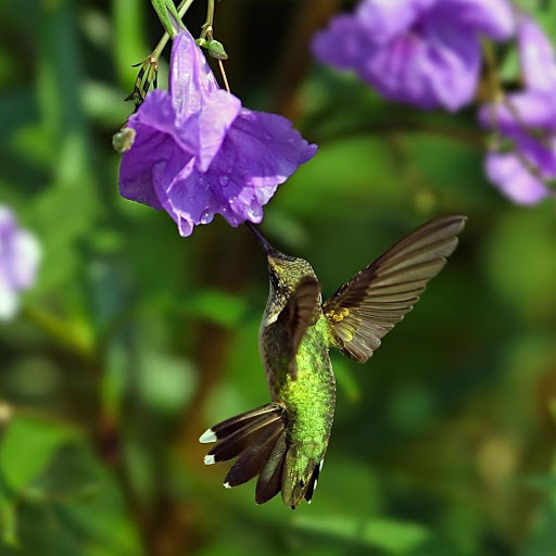 Hd-174185-ascw174185