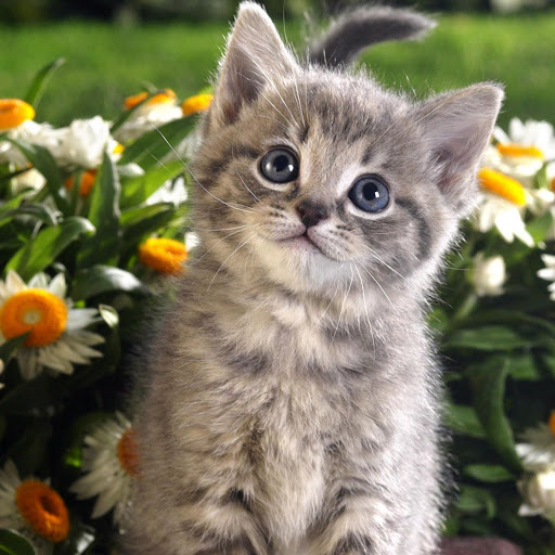 Hd-147160-ascw147160