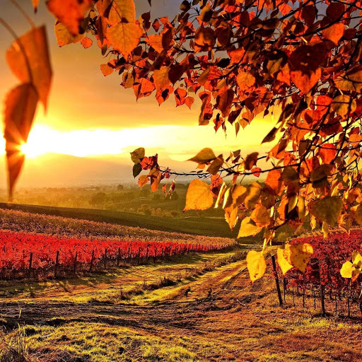 Hd-137666-ascw137666